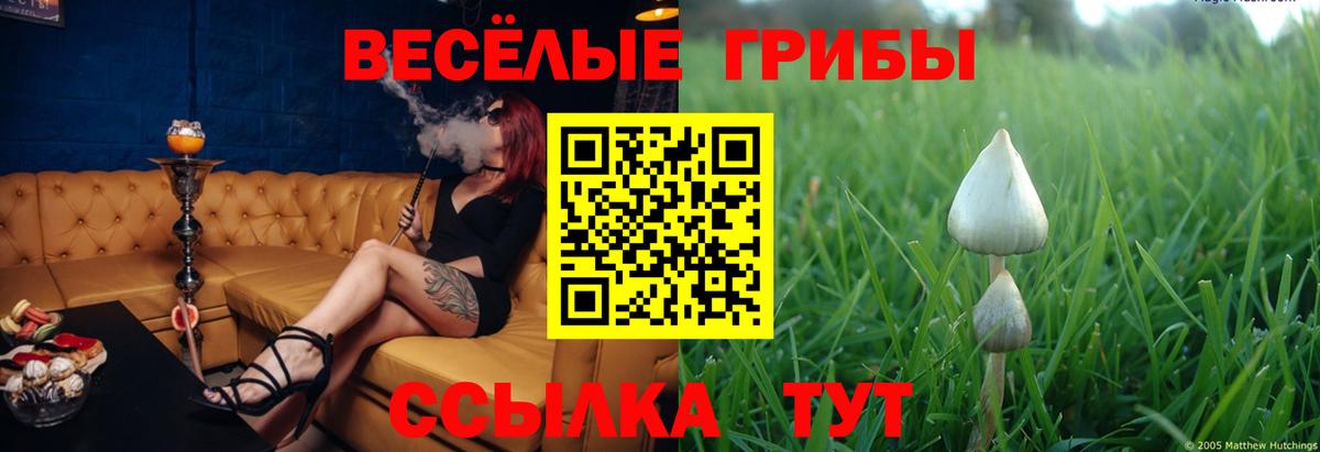 Галлюциногенные грибы мицелий Пенза